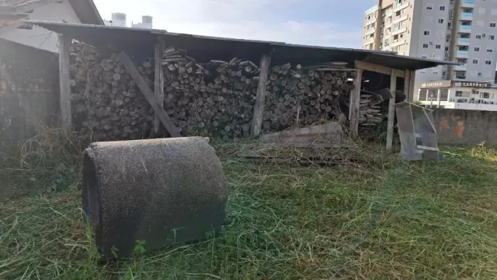 Escoras de madeira para construção.