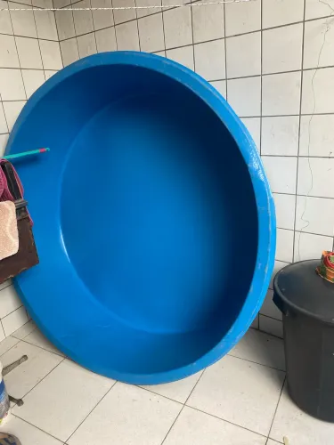 Piscina 1000 litros polietileno 
