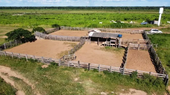 grandes negócios fazenda produtiva investidor confinamento