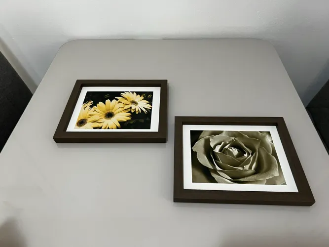 Quadros