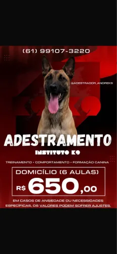 PROMOÇÃO de Adestramento de cães