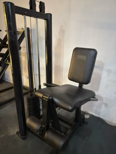VENDO CADEIRA EXTENSORA ATÉ 65KG IDEAL PARA ACADEMIA OU MUSCULAÇÃO EM CASA