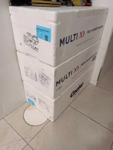 Caixa de isopor de salmão grande