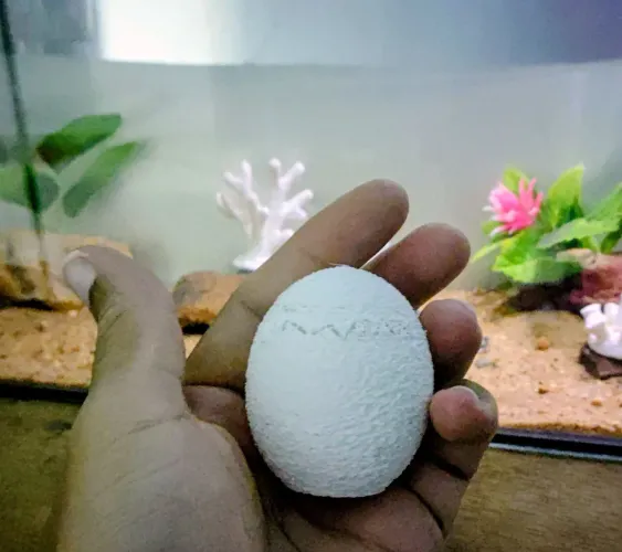 Ovos surpresa! Tamanhos e brindes variados!