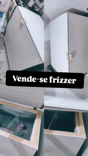 Frizzer