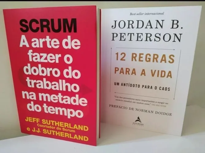 Scrum e 12 Regras para a vida um antídoto para o caos leia