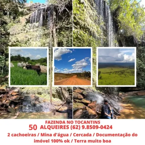 Fazenda Chacara Sitio Cidade Porto Nacional Estado Tocantins 50 Alqueires Plantação e Gado