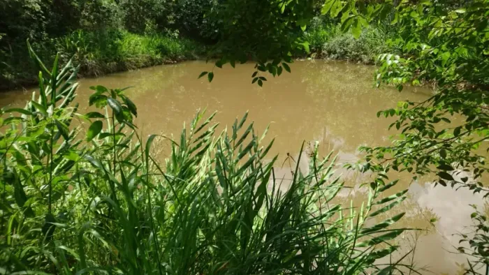 Fazendinha 6 ha, casa, fogão a lenha, arvores frutíferas, poço de peixes. Jaboticatubas.