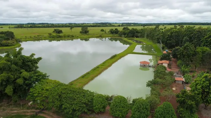 Fazenda Modelo 1470 Alqueires Vale do Araguaia - Goiás 