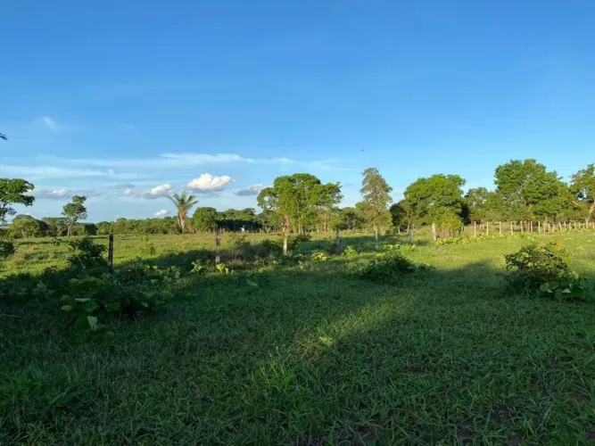 Fazenda 50 alqueires em Israelândia Goiás, planta 30 alq. Argila 25 a 40% 11. Milhões.