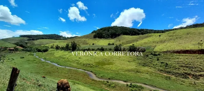 Ótima fazenda venda em São João Nepomuceno MG.