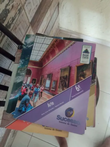 coleção de livros 6 série sucesso sistema de ensino