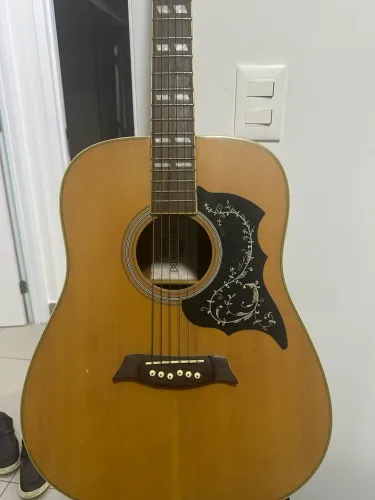     Violão Michael e  Caixa amplificadora Datrel Guitar 30