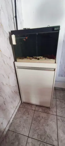 Aquário marinho completo+ itens inbox 