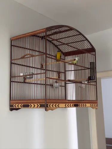 Gaiola top