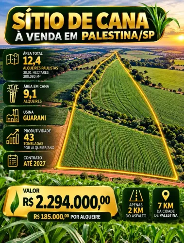 Imóvel para venda possui 242000 metros quadrados em Centro - Palestina - SP