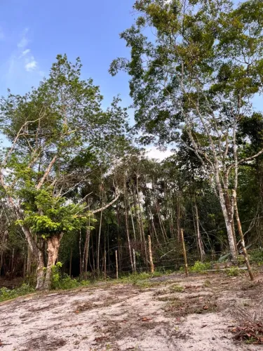 Terreno com igarapé 