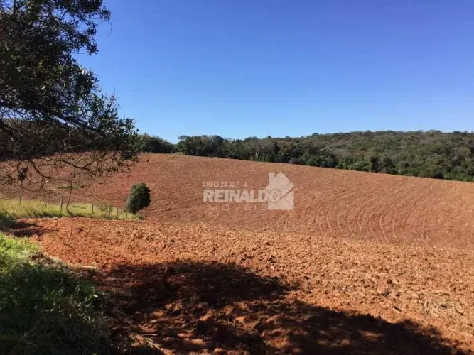 Sítio com 1 dormitório à venda, 366050 m² por R$ 5.700.000,00 - Sítios Primavera - Jarinu/