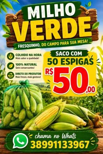 Milho verde