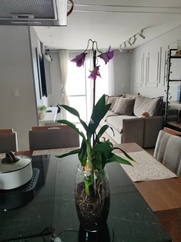 Apartamento à Venda em Jundiaí-SP, Jardim Tamoio: 3 Quartos, 1 Suíte, 2 Salas, 2 Banheiros