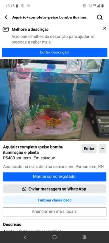 Aquário completo