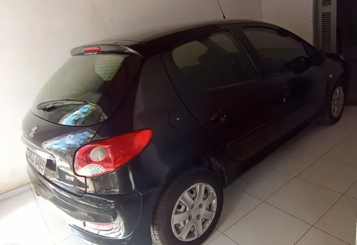 Peugeot 207 XR 1.4 Flex 8V 5P 2012