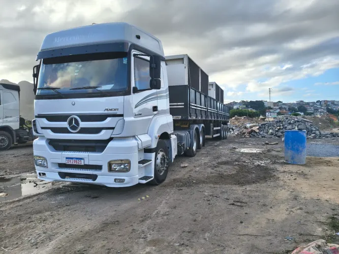 Cavalo MB 2536