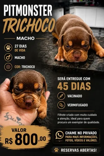 Pitmonster