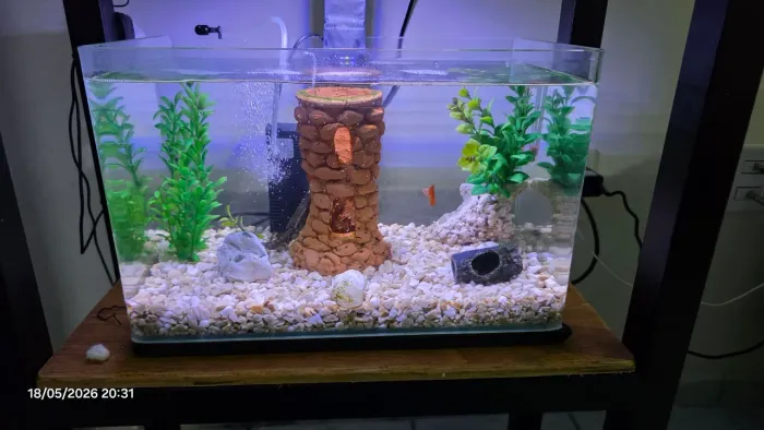 Aquario vidro curvo 22LT Oceantech