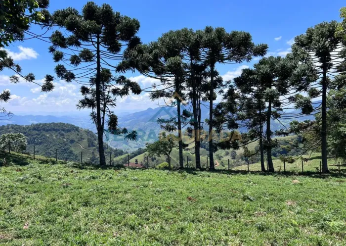 Terreno à venda em São Bento do Sapucaí-SP