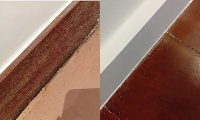 Pintora e restauradora de móveis .