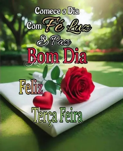 Gostaria de ganhar um gato 