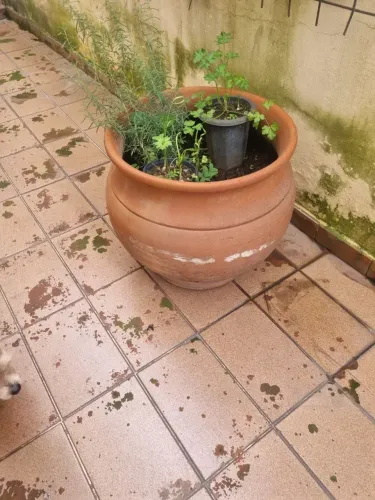 Vaso de barro com terra 
