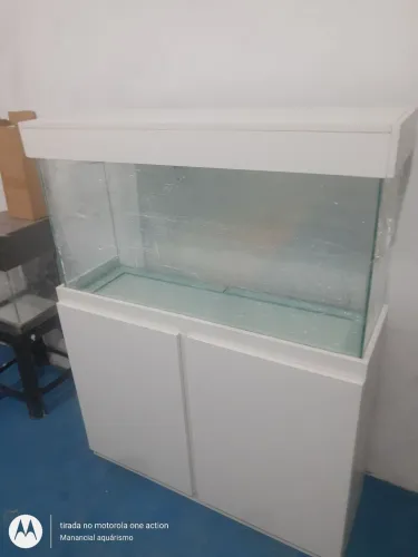 Aquário novo 80x30x40 com móvel pronta entrega com garantia