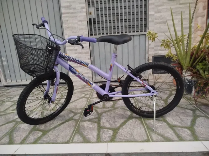 Bicicleta aro 20 feminina