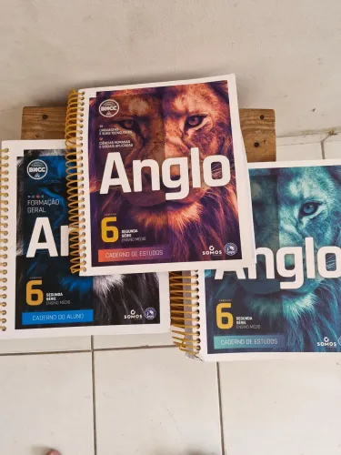 Livros do Colégio Boa Viagem  2 ano medio( Anglo )