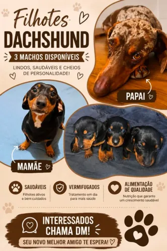 Venha conhecer seu amigo