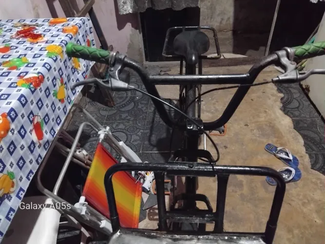 Bicicleta cargueira