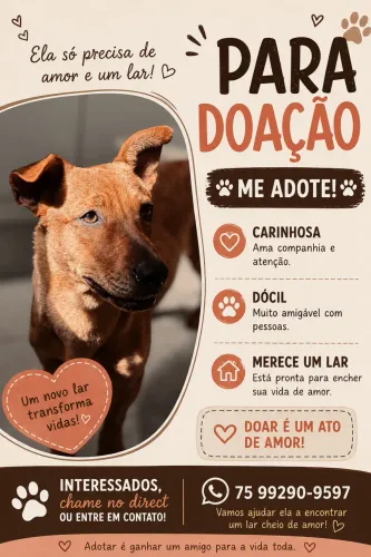 DOAÇÃO CACHORRINHA MEL