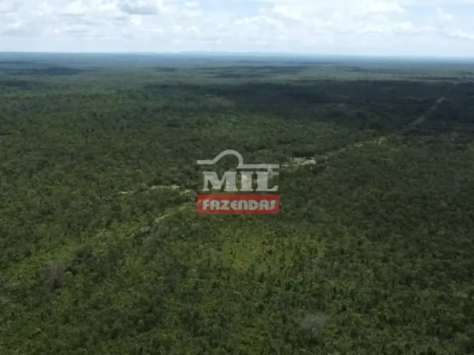 Fazenda 5.889 alqueires (28.500 hectares) Dianópolis - To
