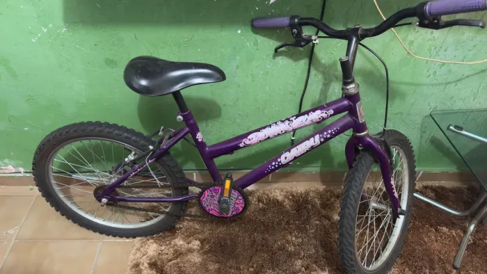 Bicicleta