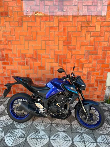 Mt03 321cc