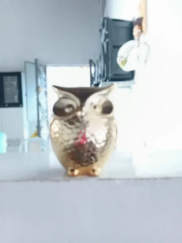 Decoração 