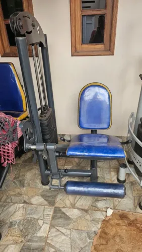Cadeira extensora proficional - 100 kg
