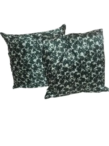 2 almofadas R$20