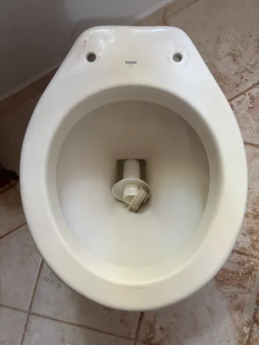 Vasos sanitários simples