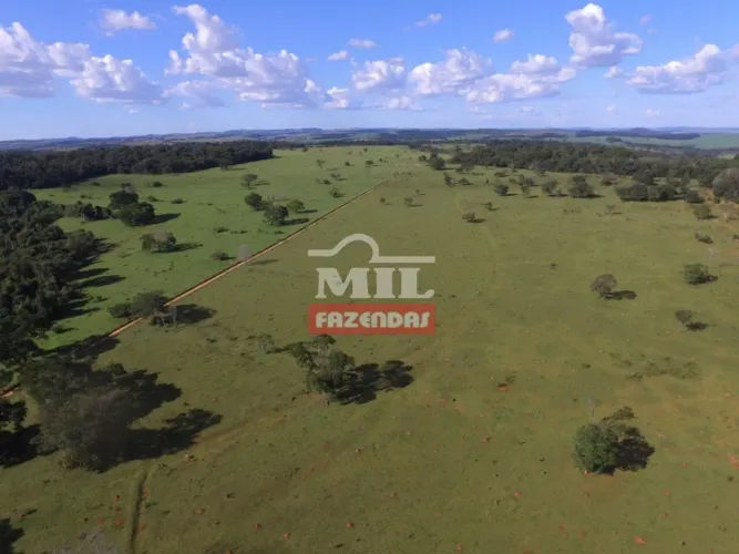 Fazenda de Pecuária prox. de Brasília- DF