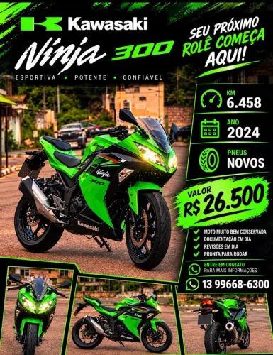 Kawasaki Ninja 300 2024