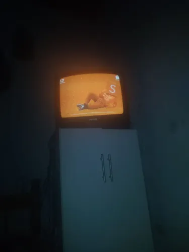 Tv philips 21 polegadas com conversor digital antena