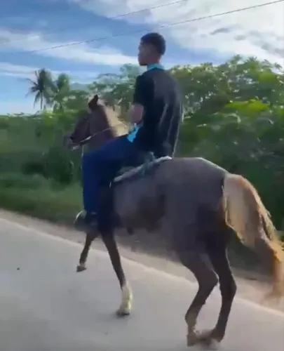 Égua MM marcha picada